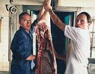 Bjarne, Svend und ein halbes Schwein (tot).